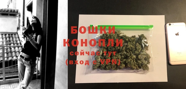 эйфоретик Горняк
