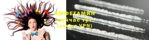 ПСИЛОЦИБИНОВЫЕ ГРИБЫ Горно-Алтайск