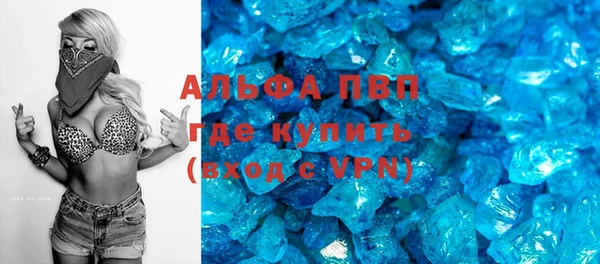 ПСИЛОЦИБИНОВЫЕ ГРИБЫ Горно-Алтайск