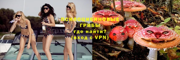 ПСИЛОЦИБИНОВЫЕ ГРИБЫ Горно-Алтайск
