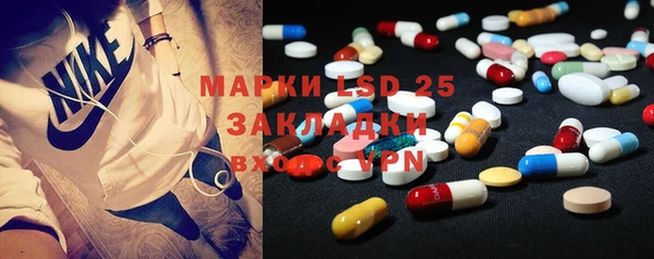 ПСИЛОЦИБИНОВЫЕ ГРИБЫ Горно-Алтайск