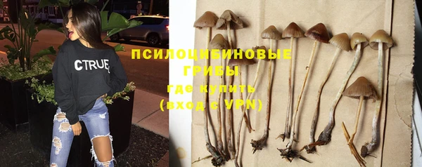трава Горнозаводск