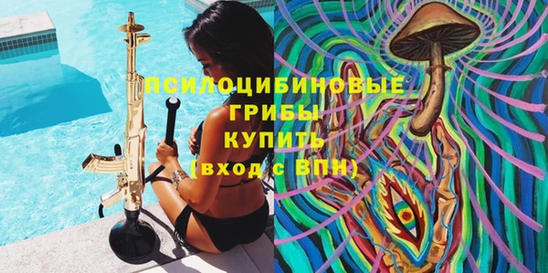 эйфоретик Горняк